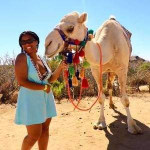 Meet your Posher, Genesis